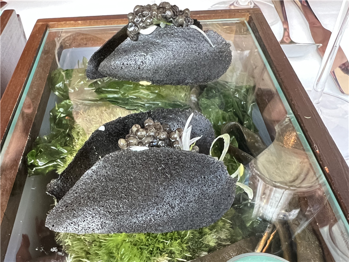 display box with edible shells